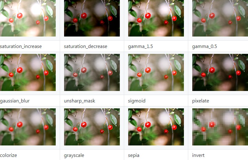 Package of image processing filters