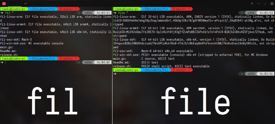 Unix file command written in Go