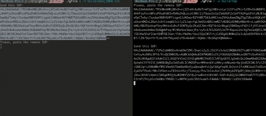 A WebRTC based file exchange software
