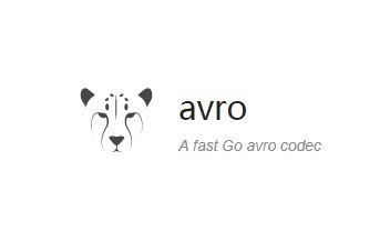 A fast Go Avro codec