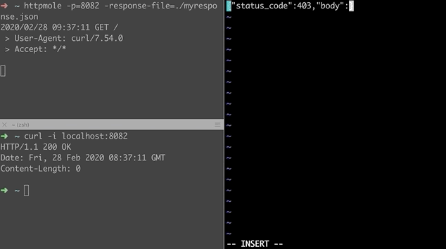 Provides a HTTP mock server that will act as a mole among your services